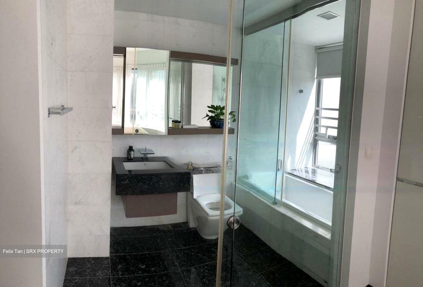 Starlight Suites (D9), Apartment #483331101